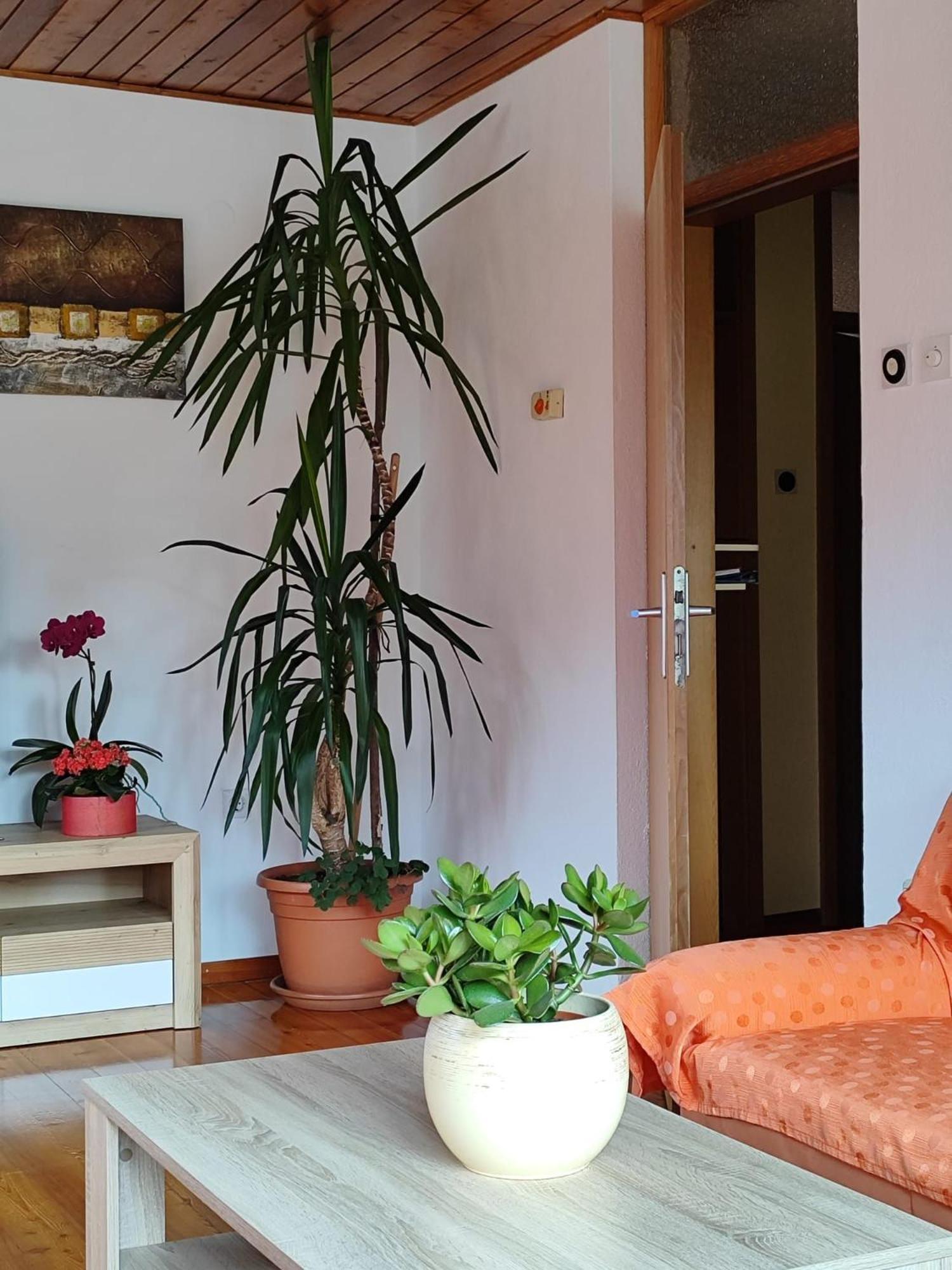 Apartment Kolman トールミン エクステリア 写真
